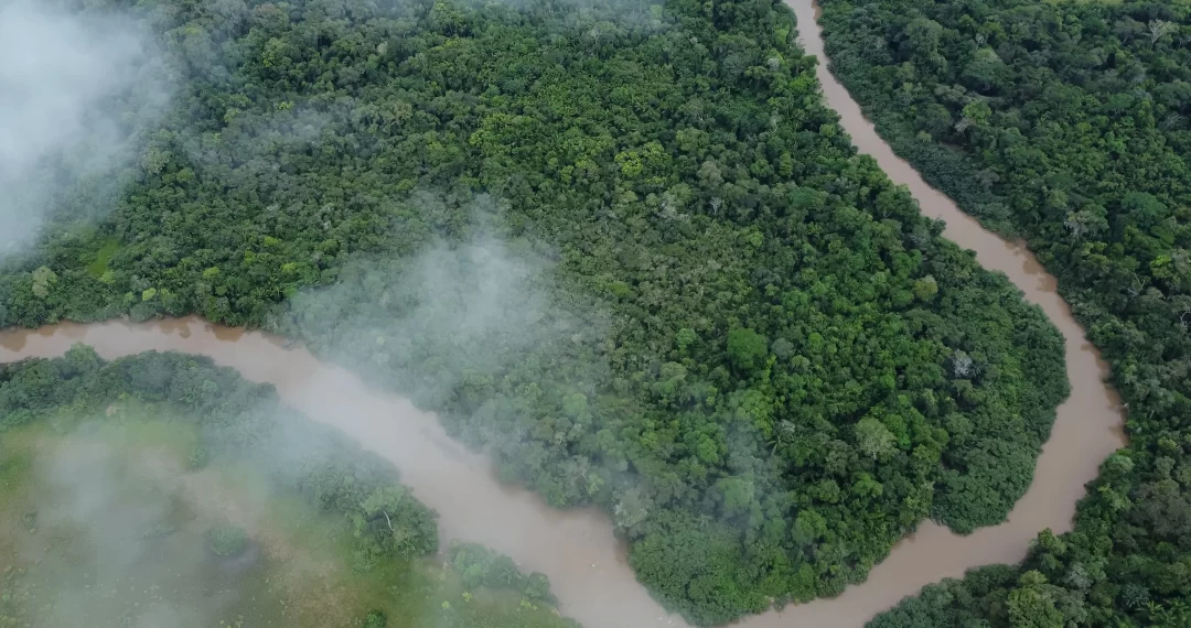 descarbonização amazônia